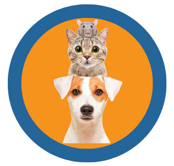 Pets